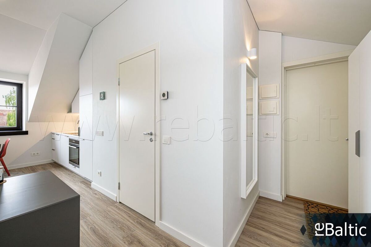 Nuomojamas butas Pranciškonų g., Senamiestis, Vilniaus m., Vilniaus m. sav., 30 m2 ploto, 2 kambariai 13