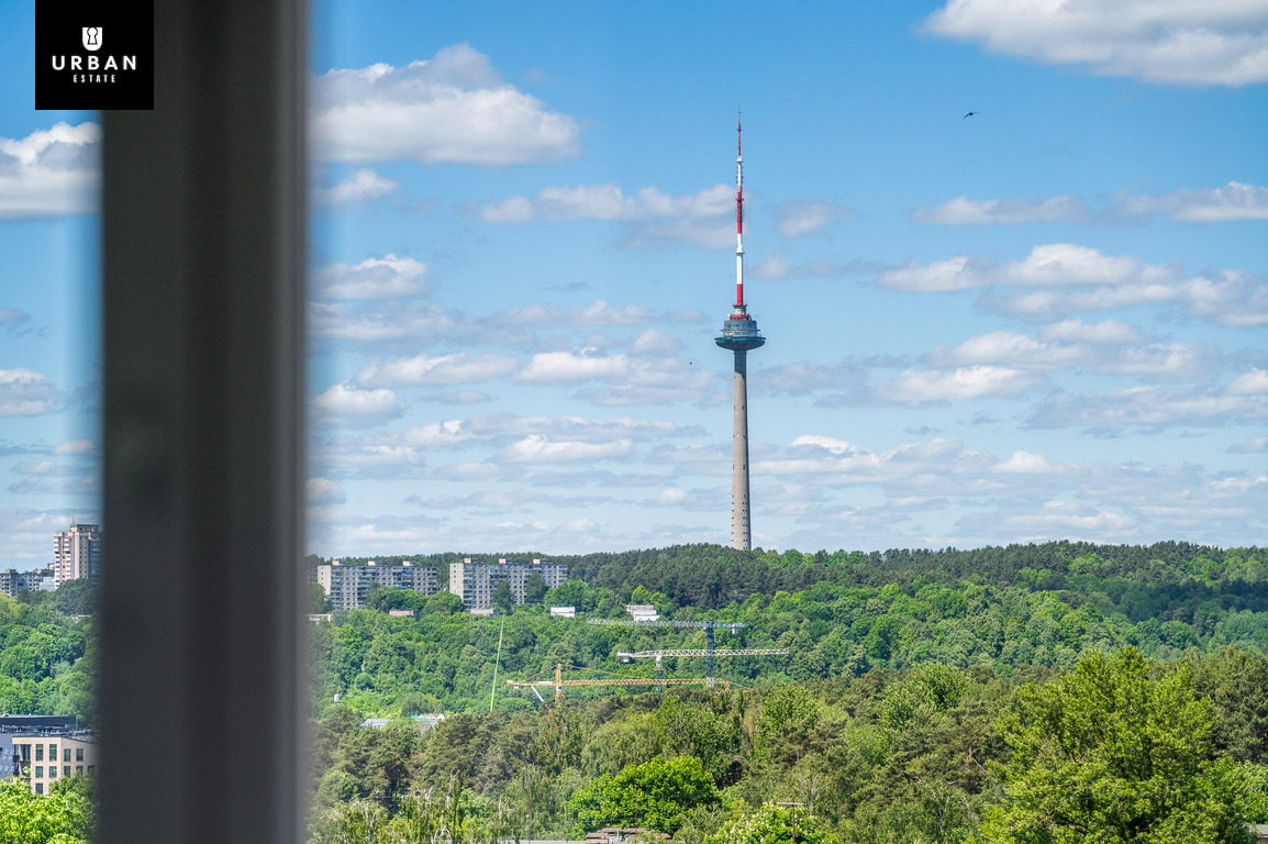 Parduodamas butas Savanorių pr., Naujamiestyje, Vilnius, 71 kv.m ploto 18