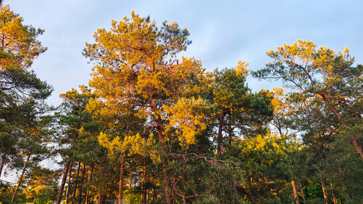 Parduodamas butas Juodšilių g., Aukštieji Paneriai, Vilniaus m., Vilniaus m. sav., 76.22 m2 ploto, 4 kambariai 18