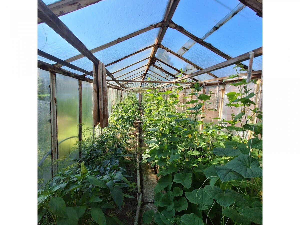 Parduodamas namas Dvaro tak., Kiškėnų k., Klaipėdos r. sav., 157 m2 ploto, 1 aukštai 7