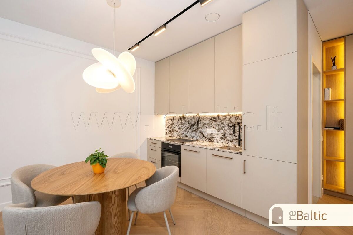 Nuomojamas butas Algirdo g., Vilniaus m., Vilniaus m. sav., 50 m2 ploto, 2 kambariai 13